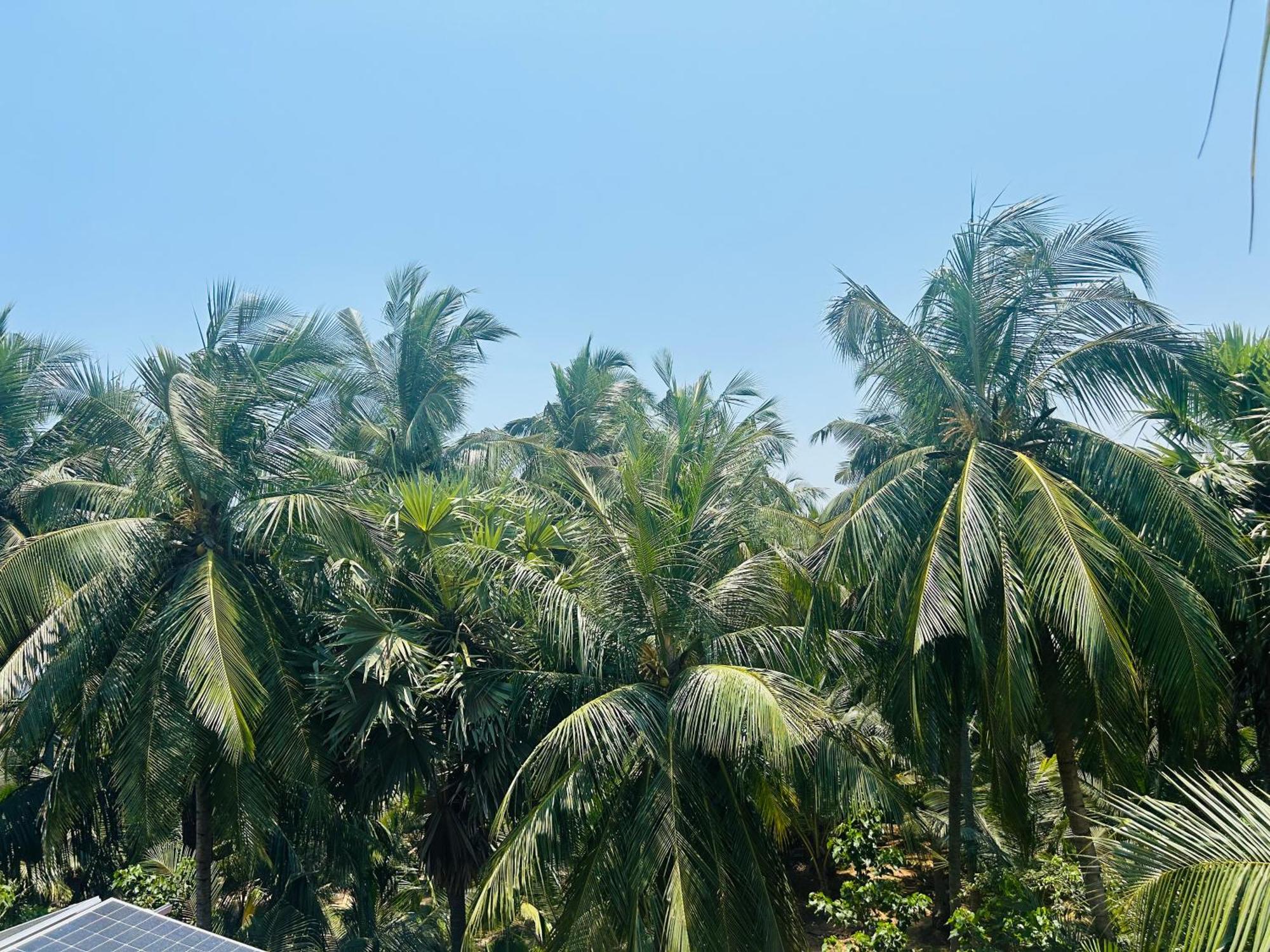 Pearl Bungalow Trincomalee Dış mekan fotoğraf